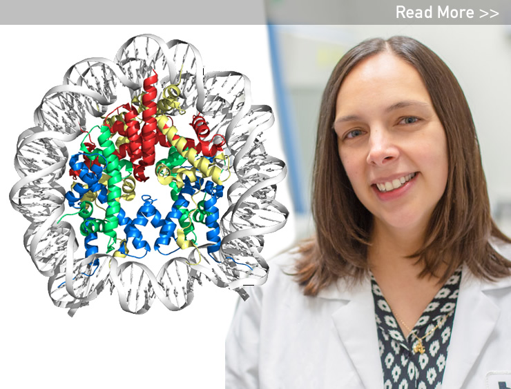 NIH Grant Enables Dr. Sheena D'Arcy To Unwrap DNA Mysteries