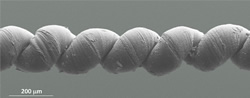 Carbon Nanotube